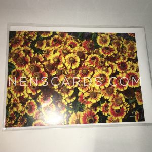 Yellow Flowers A6 card packaged © NENSCARDS.COM