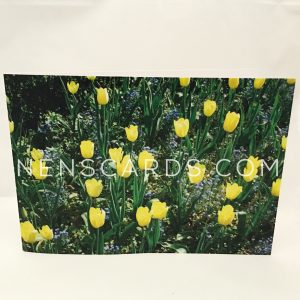 Yellow Tulips and Forget-me-nots A6 card © NENSCARDS.COM