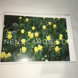 Yellow Tulips and Forget-me-nots A6 card packaged © NENSCards.com