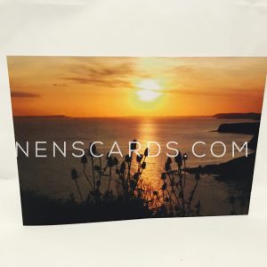 Dorset Sunset Teasel A6 Card © NENSCARDS.COM