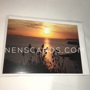 Dorset Sunset Teasel A6 Card packaged © NENSCARDS.COM