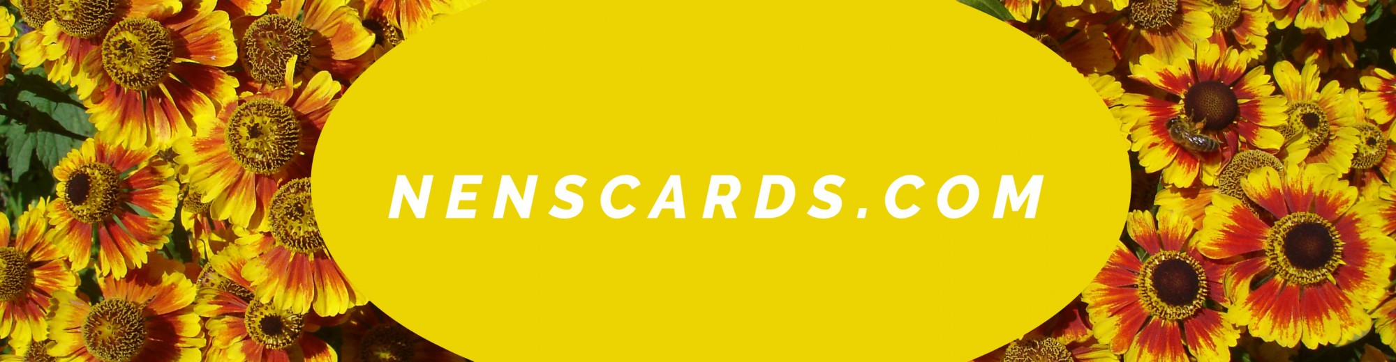 NENSCARDS.COM